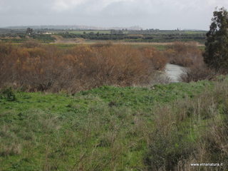 lle del Simeto-24-02-2013 10-58-54